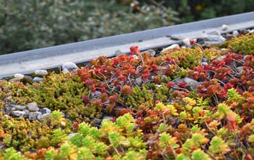 the cost of Lochore green roof installation