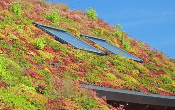 Lochore living roof systems